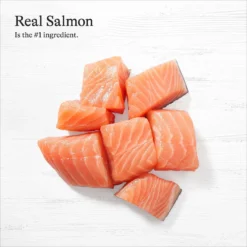 American Journey Savory Toppers Salmon Recipe In Gravy Grain-Free Dog Food Topper, 3-oz Pouches, Case Of 24 15 American Journey Savory Toppers Salmon Recipe In Gravy Grain-Free Dog Food Topper, 3-oz Pouches, Case Of 24 -Pawsphoria Sales Store 286957 PT7. AC SS1800 V1628536071