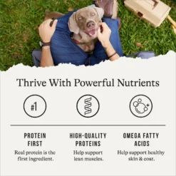 American Journey Lamb Recipe Grain-Free Canned Dog Food -Pawsphoria Sales Store 287345 PT5. AC SS1800 V1696608322