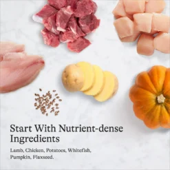 American Journey Lamb Recipe Grain-Free Canned Dog Food -Pawsphoria Sales Store 287345 PT6. AC SS1800 V1696608383