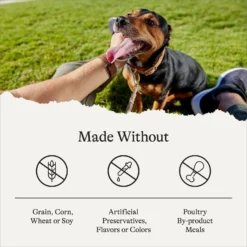 American Journey Grain-Free With Salmon, Whitefish & Trout Dry Dog Food, 24-lb Bag -Pawsphoria Sales Store 291324 PT6. AC SS1800 V1680545524