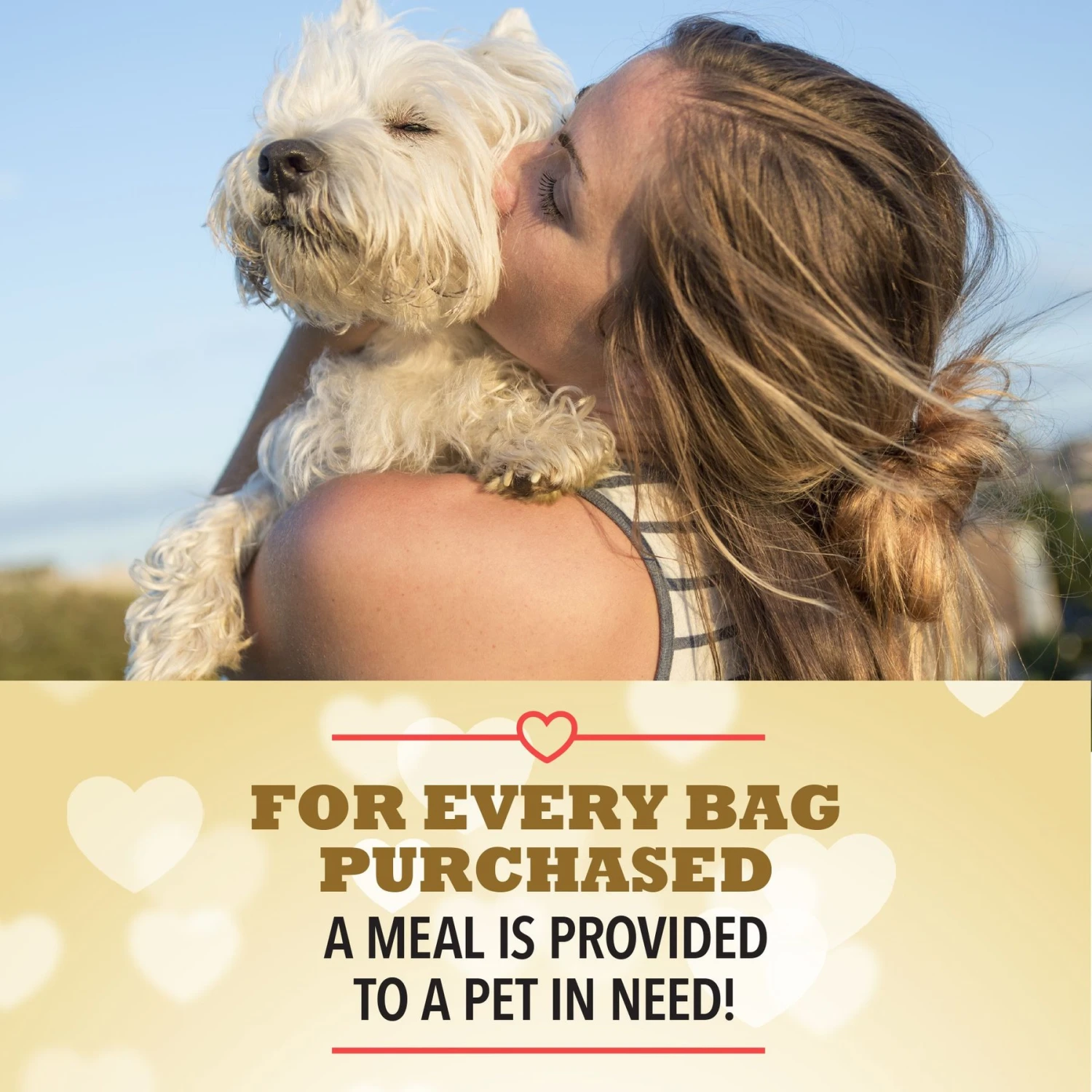 ACANA Rescue Care For Adopted Dogs Red Meat Sensitive Digestion Dry Dog Food 5 ACANA Rescue Care For Adopted Dogs Red Meat Sensitive Digestion Dry Dog Food - Image 5