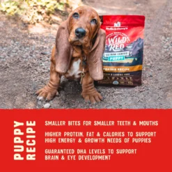 Stella & Chewy's Wild Red Raw Coated Kibble Puppy Grain-Free Prairie Recipe Dry Dog Food -Pawsphoria Sales Store 291624 PT6. AC SS1800 V1645585763