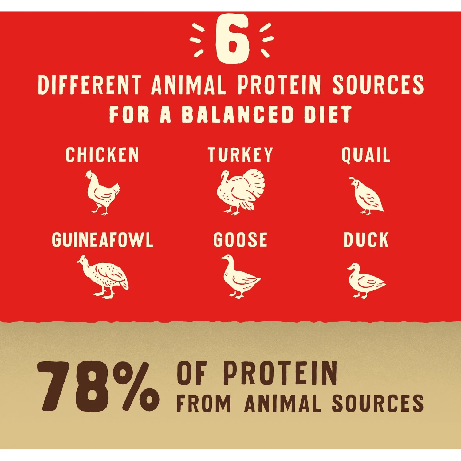 Stella & Chewy's Wild Red Raw Coated Kibble Wholesome Grains Prairie Recipe Dry Dog Food 6 Stella & Chewy's Wild Red Raw Coated Kibble Wholesome Grains Prairie Recipe Dry Dog Food - Image 6