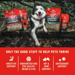Stella & Chewy's Wild Red Raw Coated Kibble Wholesome Grains Ocean Recipe Dry Dog Food -Pawsphoria Sales Store 291635 PT7. AC SS1800 V1645208293