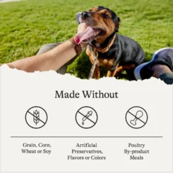 American Journey Protein & Grains Chicken, Brown Rice & Vegetables Recipe Dry Dog Food & American Journey Stews Poultry & Beef Variety Pack Grain-Free Canned Dog Food, 12.5-oz Can -Pawsphoria Sales Store 292576 PT8. AC SS1800 V1694611530