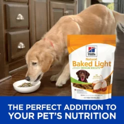 Hill's Science Diet Adult Light With Chicken Meal & Barley Dry Dog Food & Hill's Natural Baked Light Biscuits With Real Chicken Dog Treats, Medium -Pawsphoria Sales Store 293182 PT6. AC SS1800 V1619986941