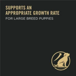 Purina Pro Plan High Protein Chicken & Rice Formula Large Breed Dry Puppy Food & American Journey Beef Recipe Grain-Free Soft & Chewy Training Bits Dog Treats -Pawsphoria Sales Store 293666 PT8. AC SS1800 V1658191307