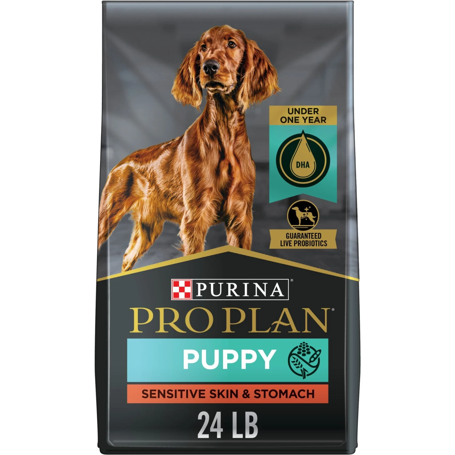Purina Pro Plan Puppy Sensitive Skin & Stomach Salmon & Rice Dry Dog Food & Wellness Soft Puppy Bites Lamb & Salmon Recipe Grain-Free Natural Dog Treats 6 Purina Pro Plan Puppy Sensitive Skin & Stomach Salmon & Rice Dry Dog Food & Wellness Soft Puppy Bites Lamb & Salmon Recipe Grain-Free Natural Dog Treats - Image 6