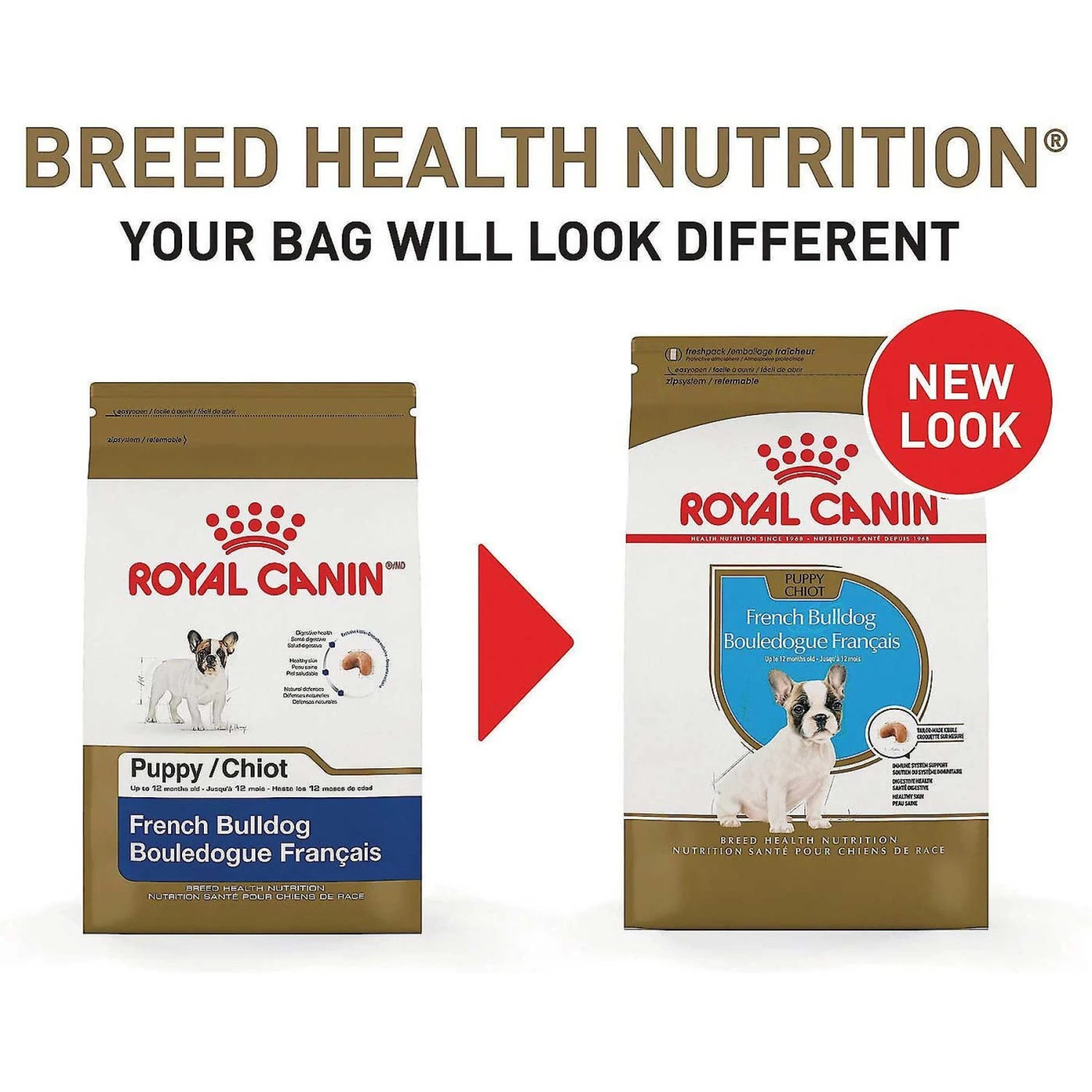 Royal Canin Breed Health Nutrition French Bulldog Puppy Dry Dog Food & N-Bone Puppy Teething Ring Chicken Flavor Dog Treats 5 Royal Canin Breed Health Nutrition French Bulldog Puppy Dry Dog Food & N-Bone Puppy Teething Ring Chicken Flavor Dog Treats - Image 5