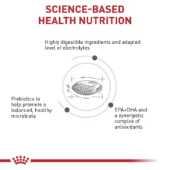 Royal Canin Veterinary Diet Adult Gastrointestinal Low Fat Dry Dog Food & Royal Canin Veterinary Diet Adult Gastrointestinal Dog Treats 14 Royal Canin Veterinary Diet Adult Gastrointestinal Low Fat Dry Dog Food & Royal Canin Veterinary Diet Adult Gastrointestinal Dog Treats -Pawsphoria Sales Store 293820 PT7. AC SS1800 V1694097927