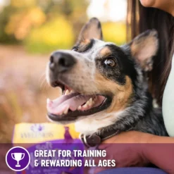 Wellness Complete Health Adult Whitefish & Sweet Potato Recipe Dry Dog Food & Wellness The Rewarding Life Lamb & Salmon Soft & Chewy Natural Dog Treats -Pawsphoria Sales Store 294002 PT6. AC SS1800 V1621989177