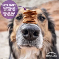 Wellness Complete Health Adult Whitefish & Sweet Potato Recipe Dry Dog Food & Wellness The Rewarding Life Lamb & Salmon Soft & Chewy Natural Dog Treats -Pawsphoria Sales Store 294002 PT7. AC SS1800 V1621990986