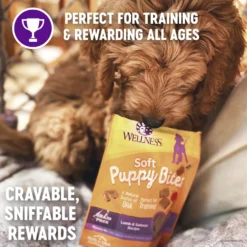 Purina Pro Plan Puppy Sensitive Skin & Stomach Lamb & Oatmeal Dry Dog Food & Wellness Soft Puppy Bites Lamb & Salmon Recipe Grain-Free Natural Dog Treats -Pawsphoria Sales Store 294242 PT4. AC SS1800 V1620228438