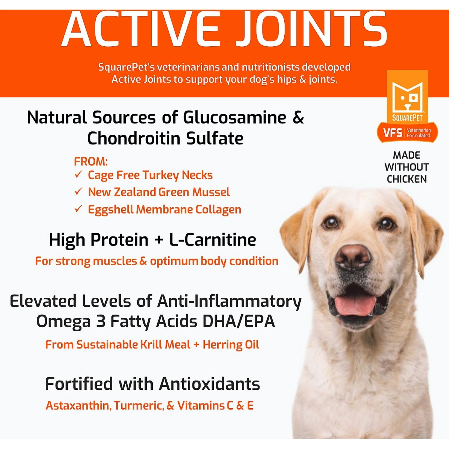 SquarePet VFS Active Joints Hip & Joint Formula Dry Dog Food 3 SquarePet VFS Active Joints Hip & Joint Formula Dry Dog Food - Image 3
