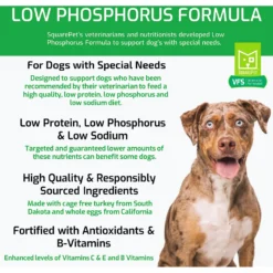 SquarePet VFS Low Phosphorus Formula Dry Dog Food 10 SquarePet VFS Low Phosphorus Formula Dry Dog Food -Pawsphoria Sales Store 297037 PT2. AC SS1800 V1620914274