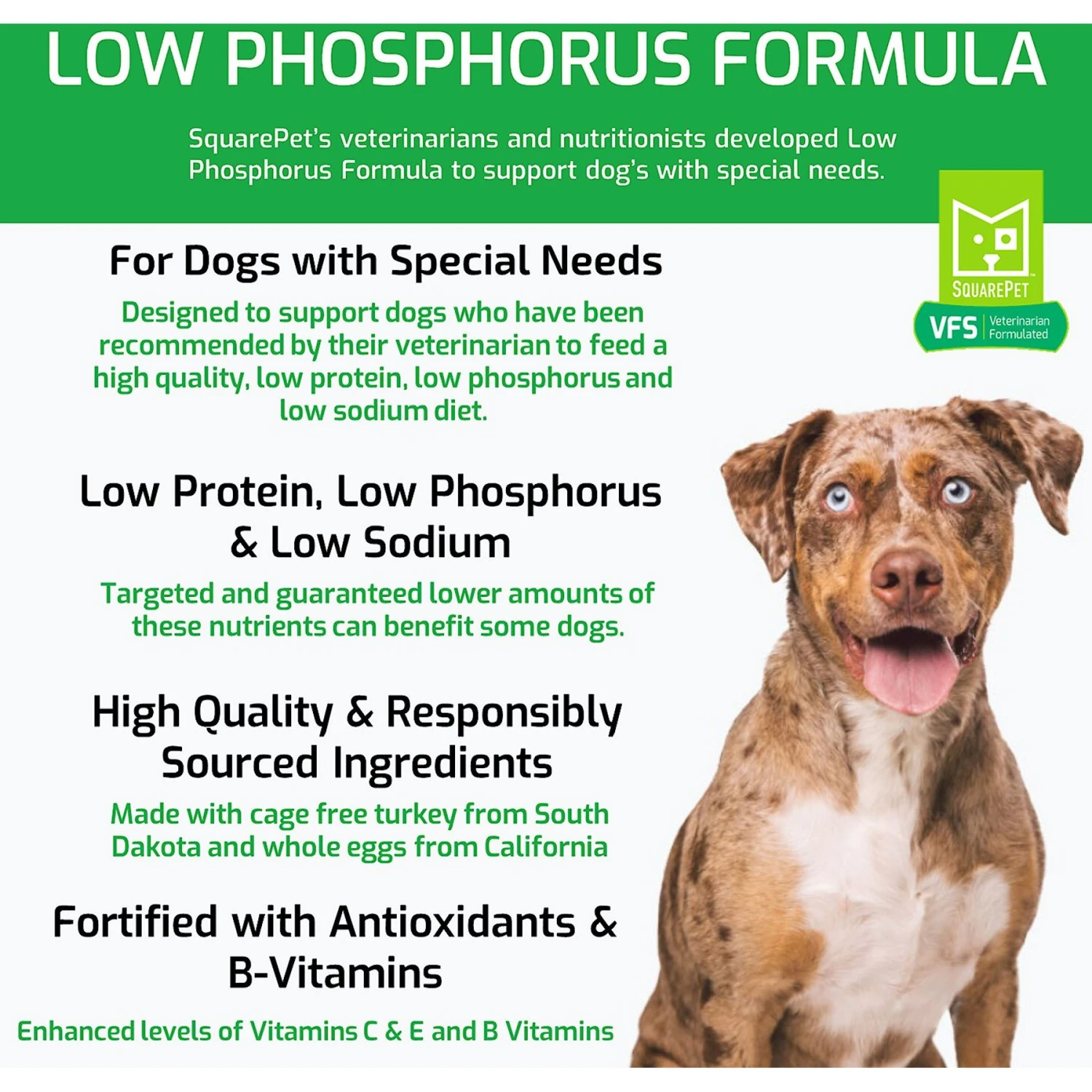 SquarePet VFS Low Phosphorus Formula Dry Dog Food 3 SquarePet VFS Low Phosphorus Formula Dry Dog Food - Image 3