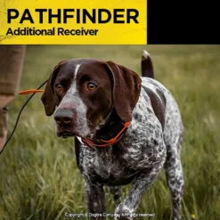 Dogtra PATHFINDER Additional Receiver Expandable Waterproof Smartphone GPS Tracking & Training Dog E-Collar -Pawsphoria Sales Store 297487 PT7. AC SS1800 V1626192069
