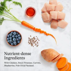 American Journey Puppy Chicken & Sweet Potato Recipe Grain-Free Dry Dog Food & Tylee's Freeze-Dried Meals For Dogs, Chicken & Salmon Recipe -Pawsphoria Sales Store 297808 PT4. AC SS1800 V1694613034