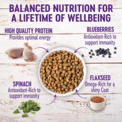 Wellness Complete Health Puppy Deboned Chicken, Oatmeal & Salmon Meal Recipe Dry Dog Food & Wellness Complete Health Just For Puppy Canned Dog Food -Pawsphoria Sales Store 298680 PT7. AC SS1800 V1691425675