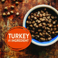 Wellness CORE Grain-Free Senior Deboned Turkey Recipe Dry Dog Food & Wellness CORE Healthy Joints Beef Grain-Free Crunchy Dog Treats -Pawsphoria Sales Store 298710 PT2. AC SS1800 V1621988240