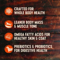 Wellness CORE Grain-Free Senior Deboned Turkey Recipe Dry Dog Food & Wellness CORE Healthy Joints Beef Grain-Free Crunchy Dog Treats -Pawsphoria Sales Store 298710 PT3. AC SS1800 V1621989859