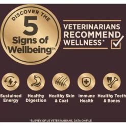 Wellness CORE RawRev Grain-Free Small Breed Original Recipe With Freeze-Dried Turkey Dry Dog Food & Wellness CORE Bowl Boosters Bare Turkey Freeze-Dried Dog Food Mixer Or Topper -Pawsphoria Sales Store 298720 PT8. AC SS1800 V1703195458