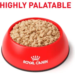 Royal Canin Veterinary Diet Recovery Ultra Soft Mousse In Sauce Wet Dog & Cat Food 10 Royal Canin Veterinary Diet Recovery Ultra Soft Mousse In Sauce Wet Dog & Cat Food -Pawsphoria Sales Store 299281 PT2. AC SS1800 V1684411830