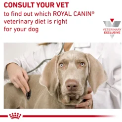 Royal Canin Veterinary Diet Adult Urinary SO Aging 7+ Loaf In Sauce Canned Dog Food 15 Royal Canin Veterinary Diet Adult Urinary SO Aging 7+ Loaf In Sauce Canned Dog Food -Pawsphoria Sales Store 299282 PT6. AC SS1800 V1670423514