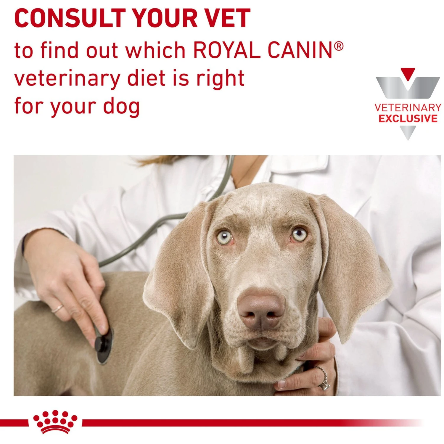 Royal Canin Veterinary Diet Adult Urinary SO Aging 7+ Loaf In Sauce Canned Dog Food 7 Royal Canin Veterinary Diet Adult Urinary SO Aging 7+ Loaf In Sauce Canned Dog Food - Image 7