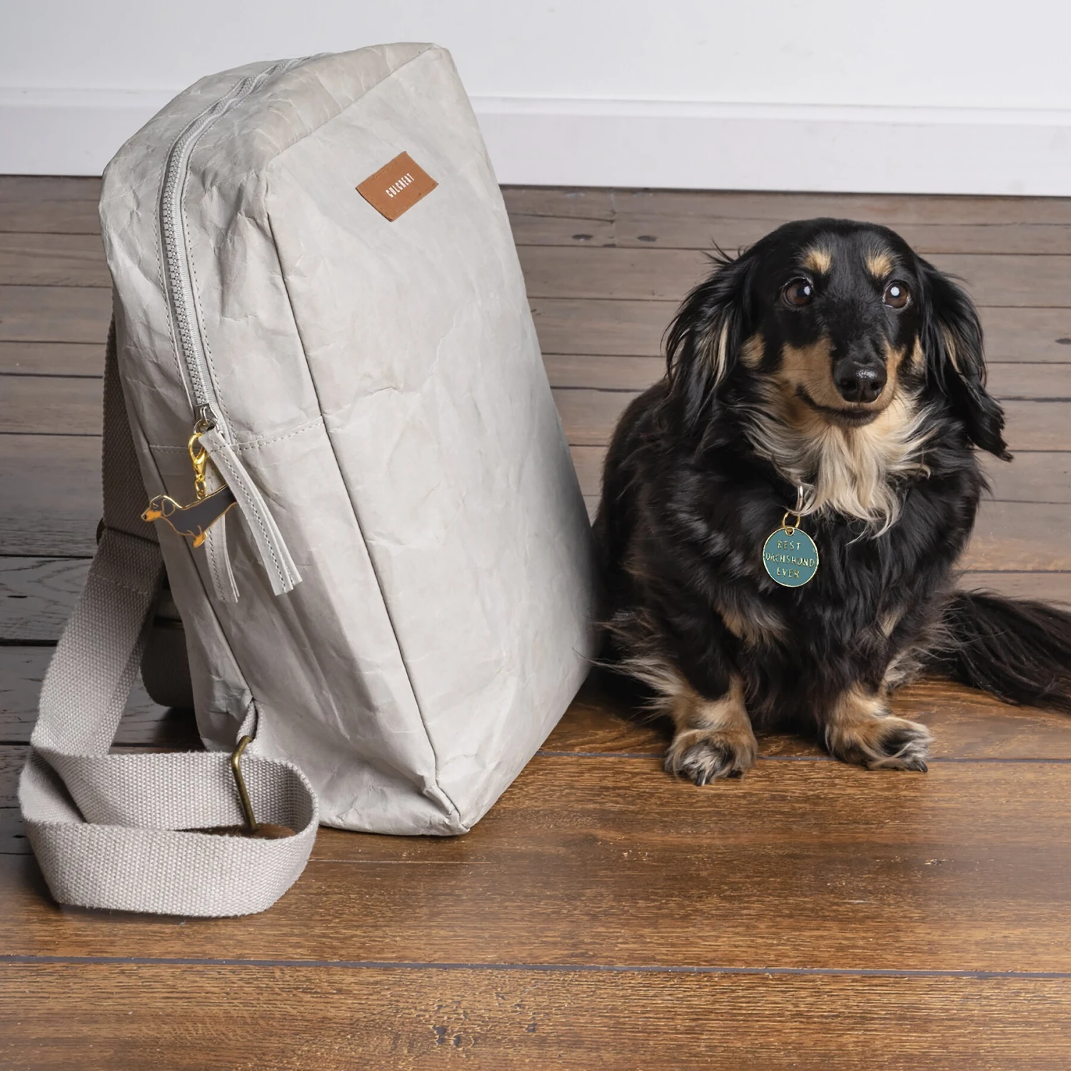 Primitives By Kathy Dachshund Charm, 2 Count 4 Primitives By Kathy Dachshund Charm, 2 Count - Image 4