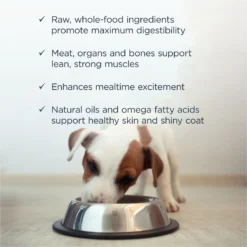 Instinct Bites Chicken Recipe Grain-Free Cage-Free Raw Frozen Puppy Food, 3-lb Bag -Pawsphoria Sales Store 301670 PT4. AC SS1800 V1663713473