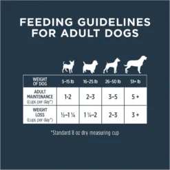 Instinct Bites Lamb Recipe Grain-Free Grass-Fed Raw Frozen Dog Food -Pawsphoria Sales Store 301673 PT7. AC SS1800 V1668199705