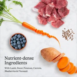 American Journey Puppy Lamb & Sweet Potato Recipe Grain-Free Dry Dog Food & American Journey Beef Recipe Grain-Free Soft & Chewy Training Bits Dog Treats 13 American Journey Puppy Lamb & Sweet Potato Recipe Grain-Free Dry Dog Food & American Journey Beef Recipe Grain-Free Soft & Chewy Training Bits Dog Treats -Pawsphoria Sales Store 301766 PT4. AC SS1800 V1694612271