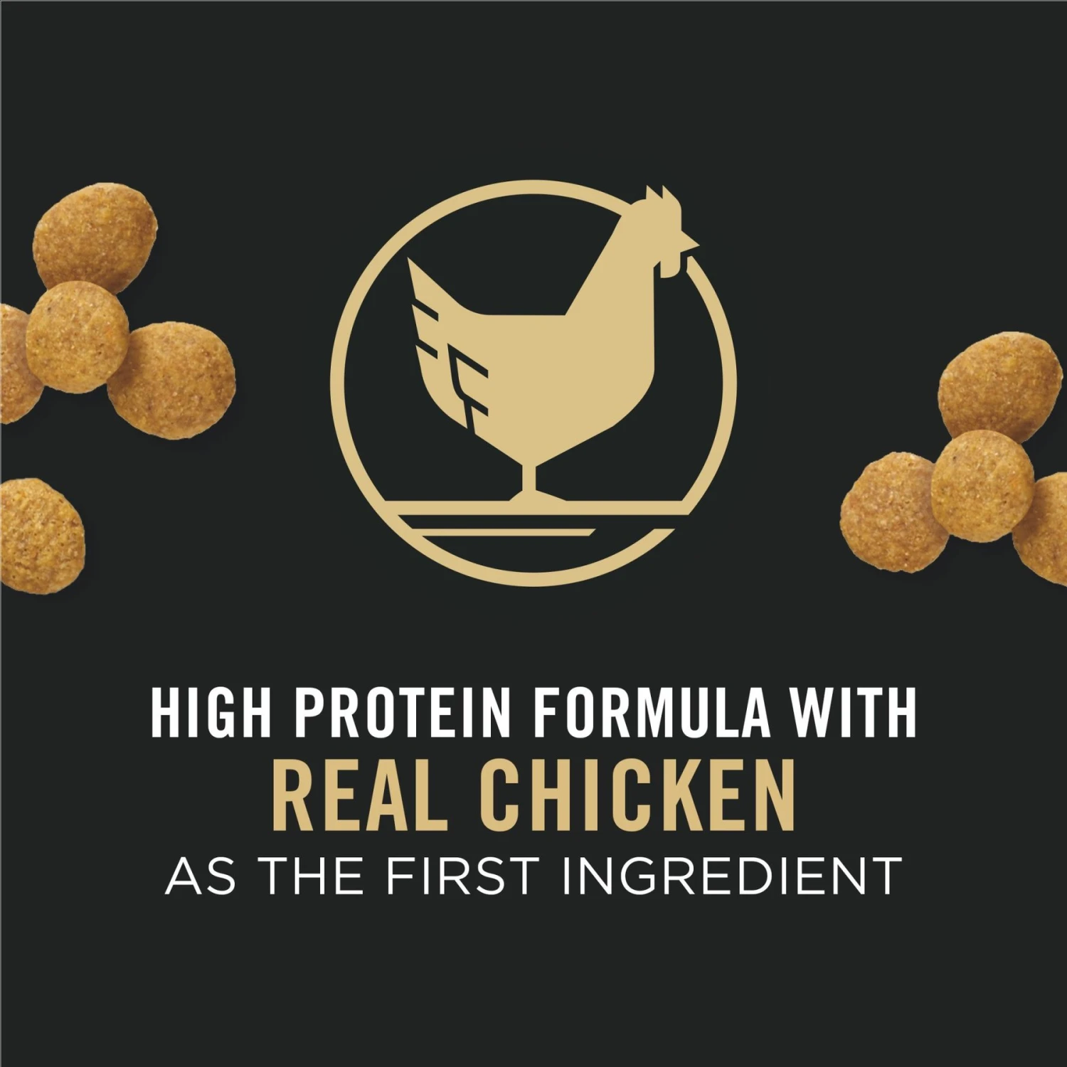 Purina Pro Plan High Protein Chicken & Rice Formula Large Breed Dry Puppy Food & Wellness Soft Puppy Bites Lamb & Salmon Recipe Grain-Free Natural Dog Treats 8 Purina Pro Plan High Protein Chicken & Rice Formula Large Breed Dry Puppy Food & Wellness Soft Puppy Bites Lamb & Salmon Recipe Grain-Free Natural Dog Treats - Image 8