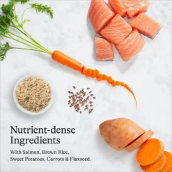 American Journey Protein & Grains Senior Salmon, Brown Rice & Vegetables Recipe Dry Dog Food, 28-lb Bag & American Journey Poultry & Beef Variety Pack Grain-Free Canned Dog Food -Pawsphoria Sales Store 302238 PT8. AC SS1800 V1694617595