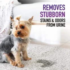 Hoover Paws & Claws Pet Urine Eliminator 9 Hoover Paws & Claws Pet Urine Eliminator -Pawsphoria Sales Store 304008 PT2. AC SS1800 V1622642839