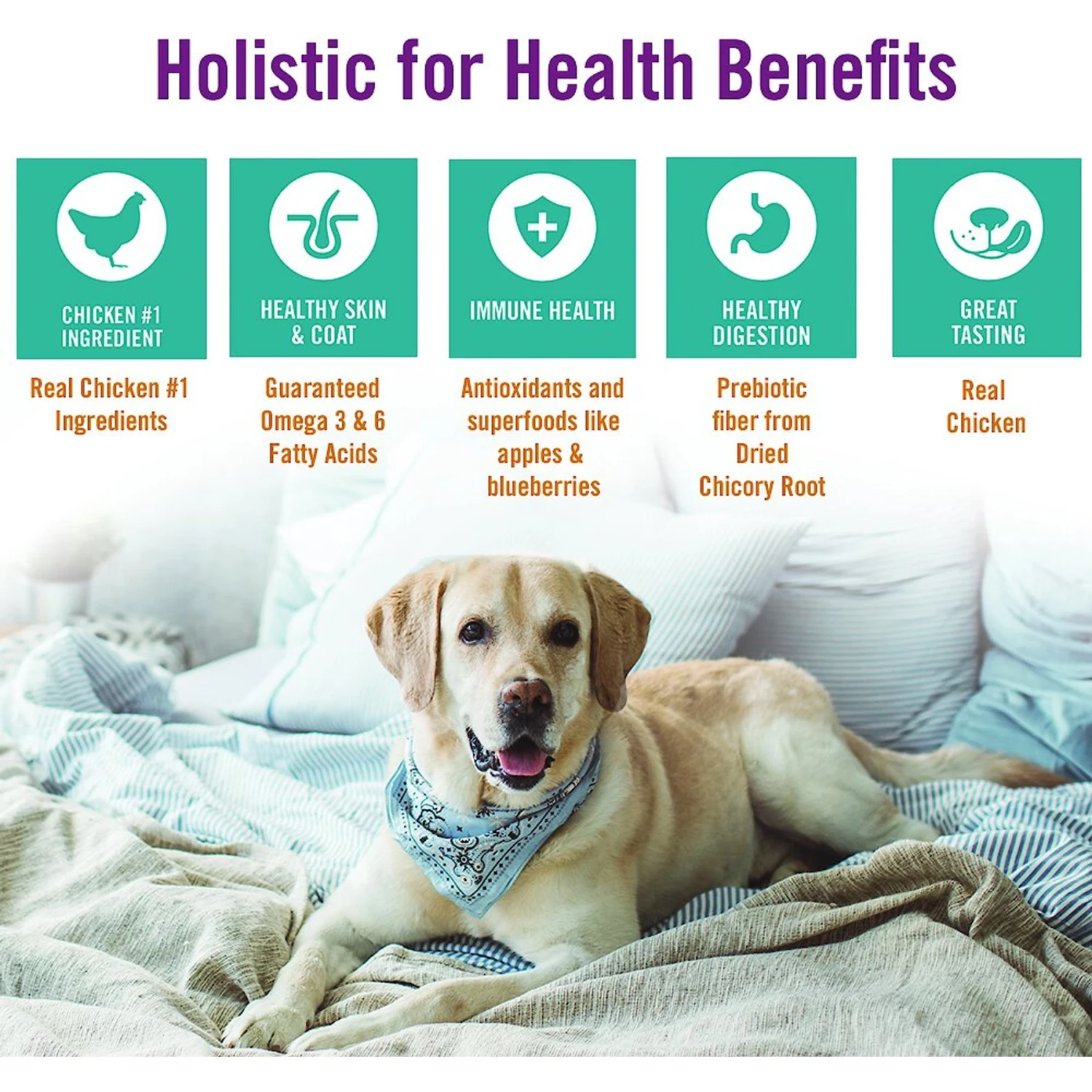 Chicken Soup For The Soul Chicken, Pea & Sweet Potato Recipe Grain-Free Dry Dog Food, 10-lb Bag 7 Chicken Soup For The Soul Chicken, Pea & Sweet Potato Recipe Grain-Free Dry Dog Food, 10-lb Bag - Image 7