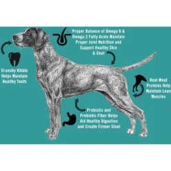 Chicken Soup For The Soul Small Bites Chicken, Turkey & Brown Rice Recipe Mature Dry Dog Food -Pawsphoria Sales Store 305237 PT3. AC SS1800 V1691089231