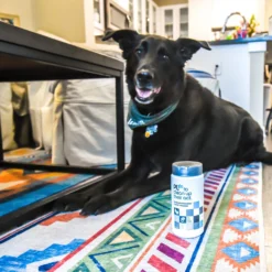 PL360 Odor Neutralizing Citrus Scented Carpet Powder -Pawsphoria Sales Store 308111 PT3. AC SS1800 V1650010911