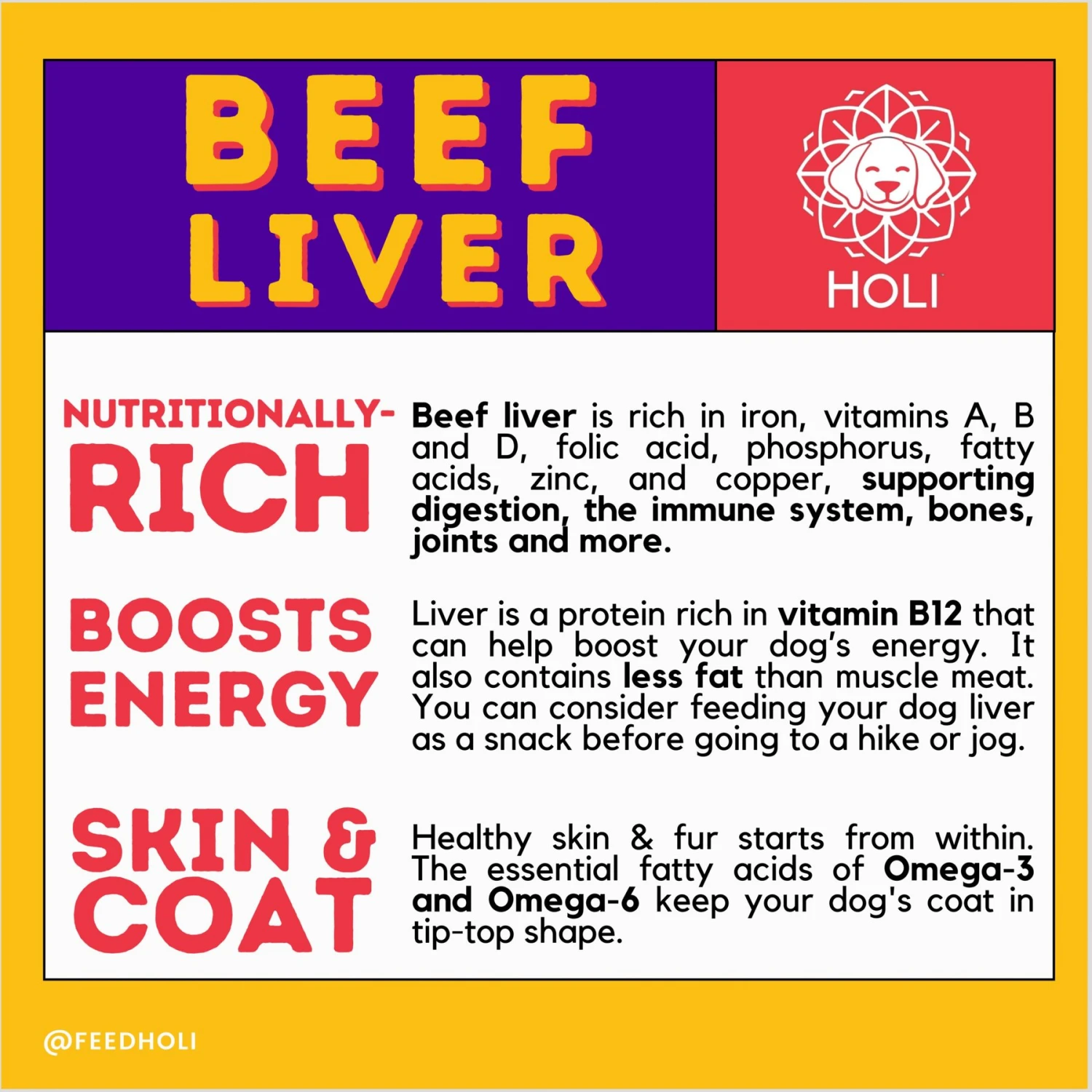 HOLI Beef Liver Protein Pack Grain-Free Freeze-Dried Dog Food Topper 6 HOLI Beef Liver Protein Pack Grain-Free Freeze-Dried Dog Food Topper - Image 6