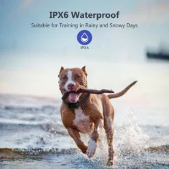 Petdiary T720 3,000-ft Shock Dog Training Collar -Pawsphoria Sales Store 309051 PT3. AC SS1800 V1634679131