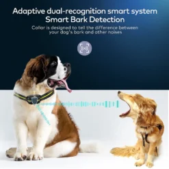Petdiary B600 Waterproof Dog Bark Collar 12 Petdiary B600 Waterproof Dog Bark Collar -Pawsphoria Sales Store 309053 PT3. AC SS1800 V1625617317