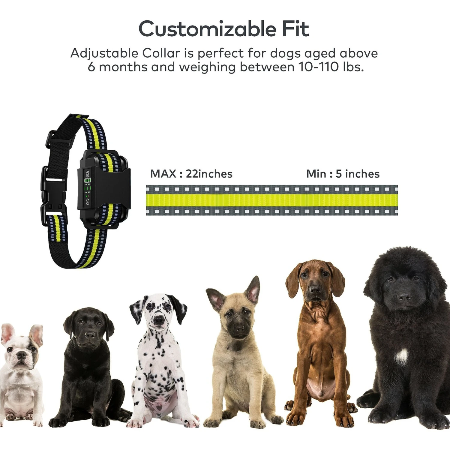 Petdiary B600 Waterproof Dog Bark Collar 7 Petdiary B600 Waterproof Dog Bark Collar - Image 7