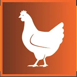 Darford Zero/G Free Run Chicken Recipe Limited Ingredients Dry Dog Food 10 Darford Zero/G Free Run Chicken Recipe Limited Ingredients Dry Dog Food -Pawsphoria Sales Store 311137 PT4. AC SS1800 V1625088180