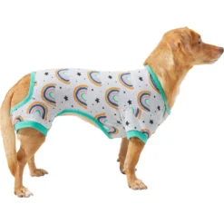 Frisco Rainbow Dog & Cat PJs