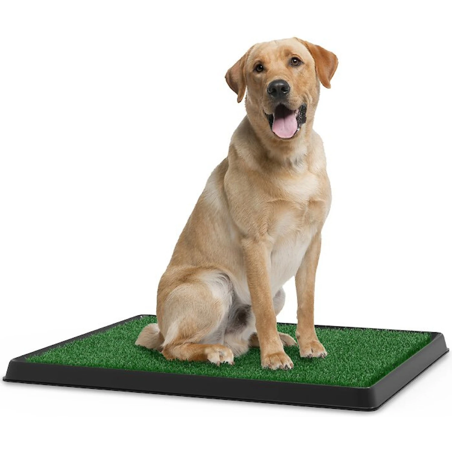 Pet Adobe Artificial Grass Potty Trainer Dog Mat 1 Pet Adobe Artificial Grass Potty Trainer Dog Mat