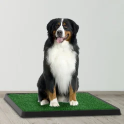 Pet Adobe Artificial Grass Potty Trainer Dog Mat 9 Pet Adobe Artificial Grass Potty Trainer Dog Mat -Pawsphoria Sales Store 314989 PT3. AC SS1800 V1626398812