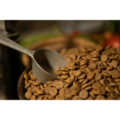 Regal Pet Foods Lean Recipe Dry Dog Food -Pawsphoria Sales Store 316453 PT3. AC SS1800 V1630335588