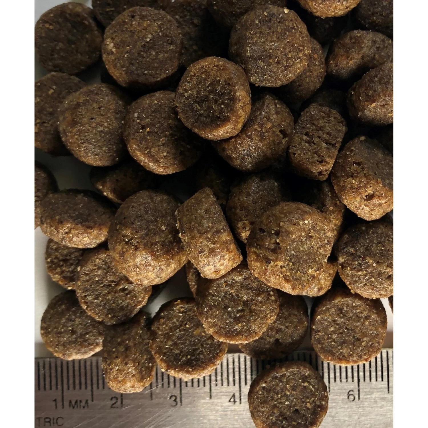Regal Pet Foods Large Breed Puppy Recipe Dry Dog Food 4 Regal Pet Foods Large Breed Puppy Recipe Dry Dog Food - Image 4
