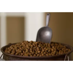 Regal Pet Foods Sensi Bites Turkey Meal Recipe Dry Dog Food -Pawsphoria Sales Store 316463 PT4. AC SS1800 V1630337360